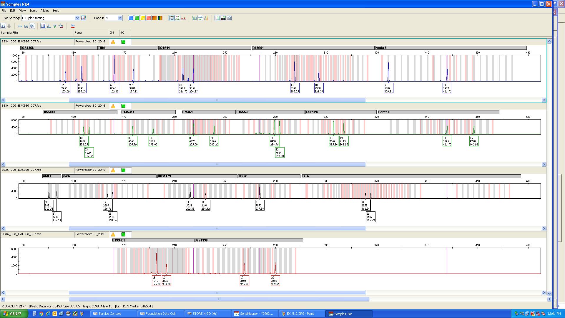 Analysis of raw data view. The actual call of the peak is given as a number for the allele in the little square below.