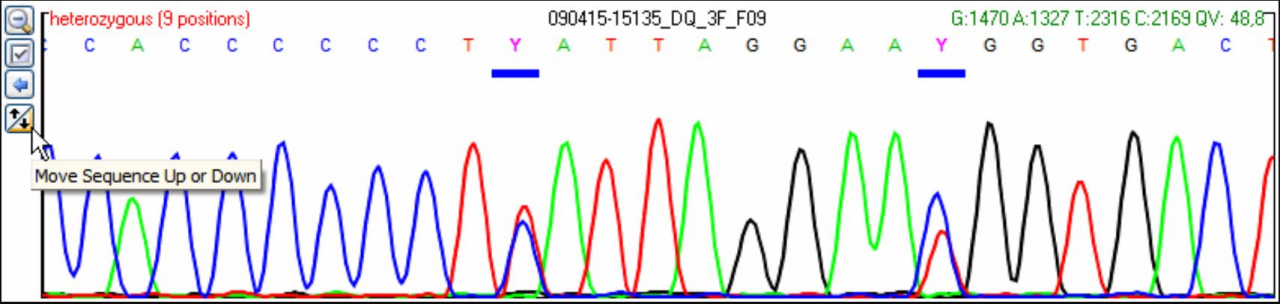 Sequence electropherogram